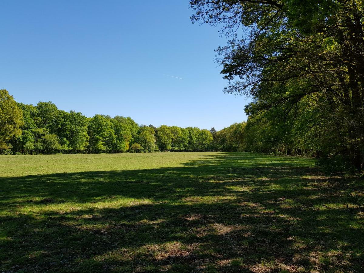 Knusse Natuur Bungalow Hartje Veluwe Otterlo Luaran gambar
